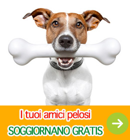 soggiorno gratis animali