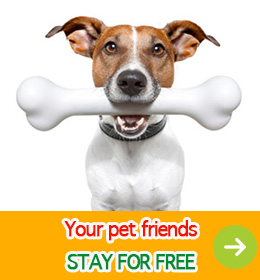 “pet